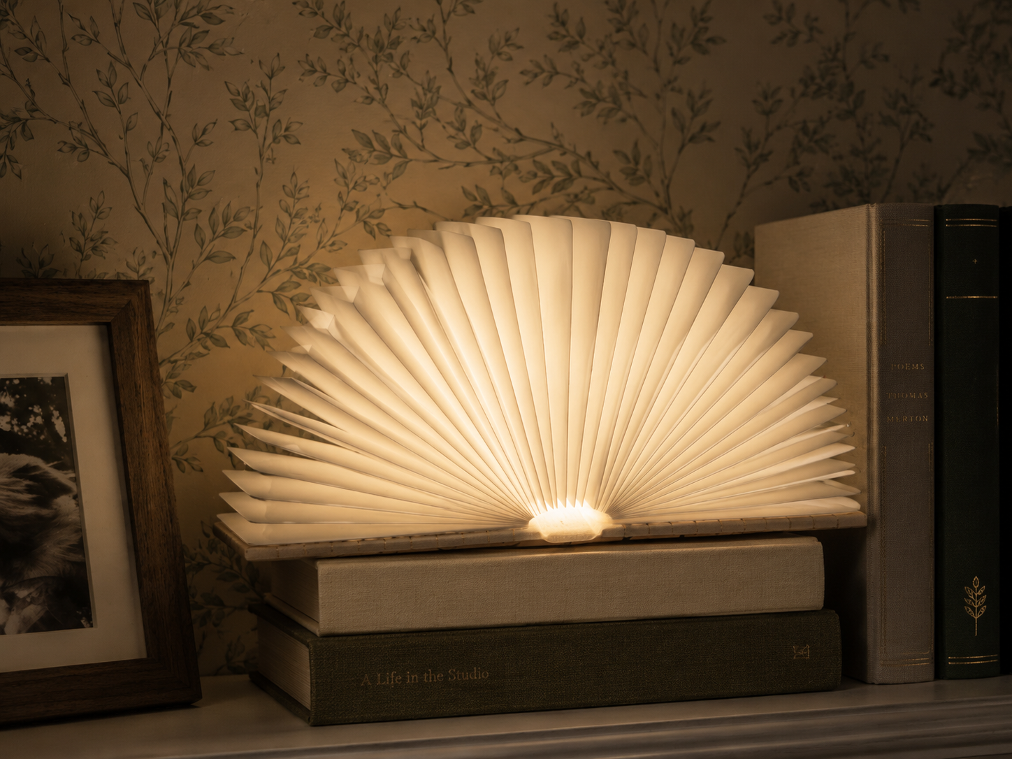 The Classic book light, fanned open